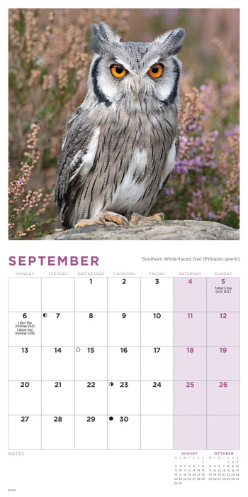 Owls 2027 Mini Wall Calendar