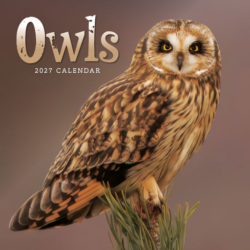 Owls 2027 Mini Wall Calendar
