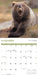 Comedy Wildlife Photography 2027 Square Wall Calendar
