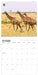 WWF Giraffes 2027 Square Wall Calendar