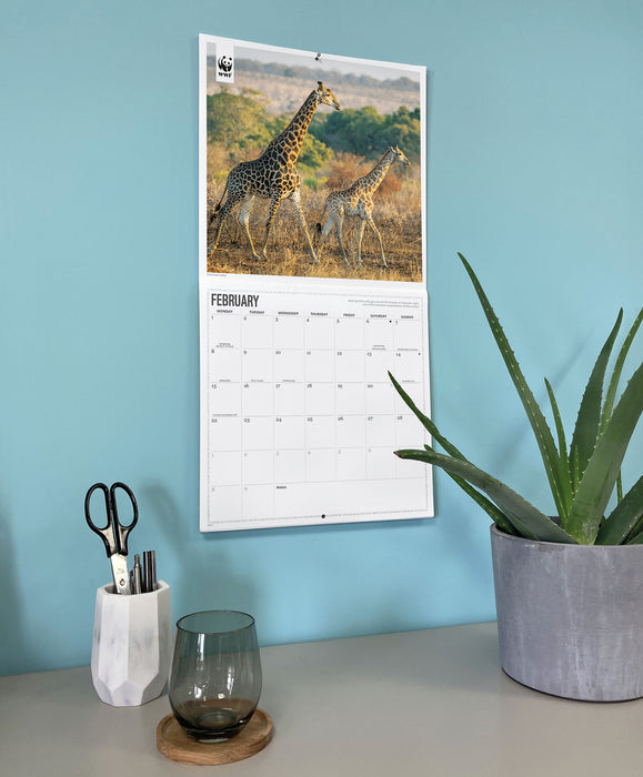 WWF Giraffes 2027 Square Wall Calendar