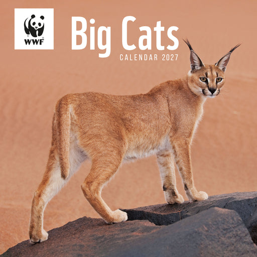 WWF Big Cats 2027 Square Wall Calendar