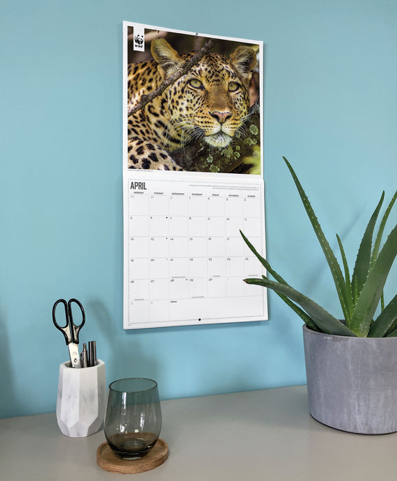 WWF Big Cats 2027 Square Wall Calendar