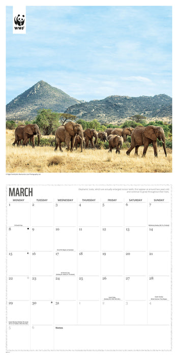 WWF Elephants 2027 Square Wall Calendar