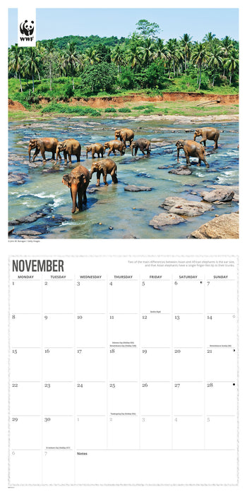 WWF Elephants 2027 Square Wall Calendar