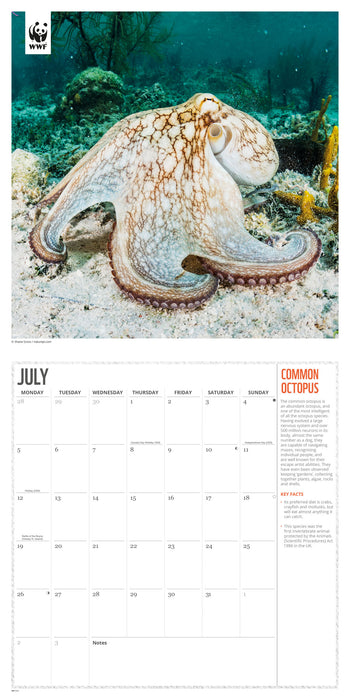 WWF Oceans 2027 Square Wall Calendar