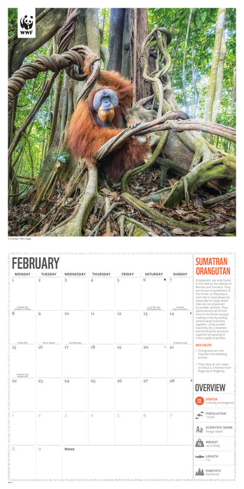 WWF Amazing Wildlife 2027 Square Wall Calendar