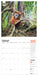 WWF Amazing Wildlife 2027 Square Wall Calendar