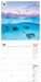 WWF Amazing Wildlife 2027 Square Wall Calendar