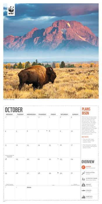 WWF Amazing Wildlife 2027 Square Wall Calendar