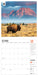 WWF Amazing Wildlife 2027 Square Wall Calendar