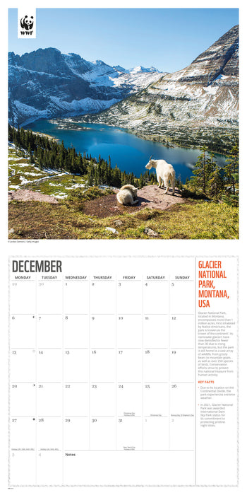 WWF Fragile Earth 2027 Square Wall Calendar