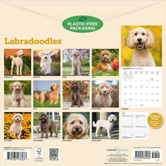 Labradoodles 2027 Square Wall Calendar