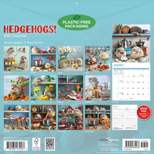 Hedgehogs 2027 Square Wall Calendar