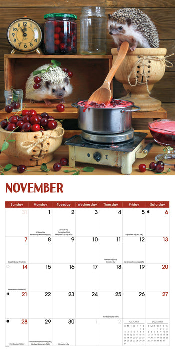 Hedgehogs 2027 Square Wall Calendar