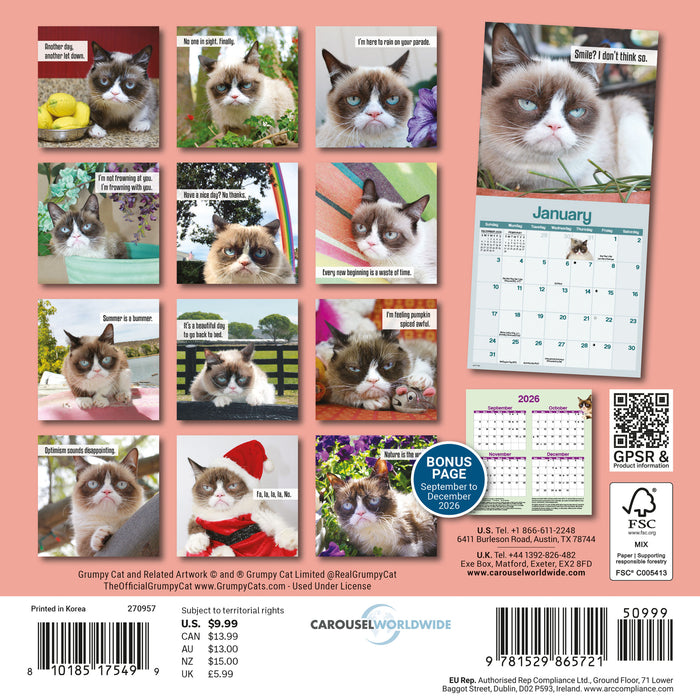Grumpy Cat 2027 Mini Wall Calendar