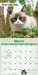 Grumpy Cat 2027 Mini Wall Calendar