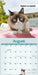 Grumpy Cat 2027 Mini Wall Calendar