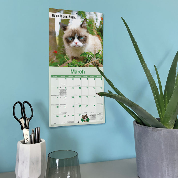Grumpy Cat 2027 Mini Wall Calendar