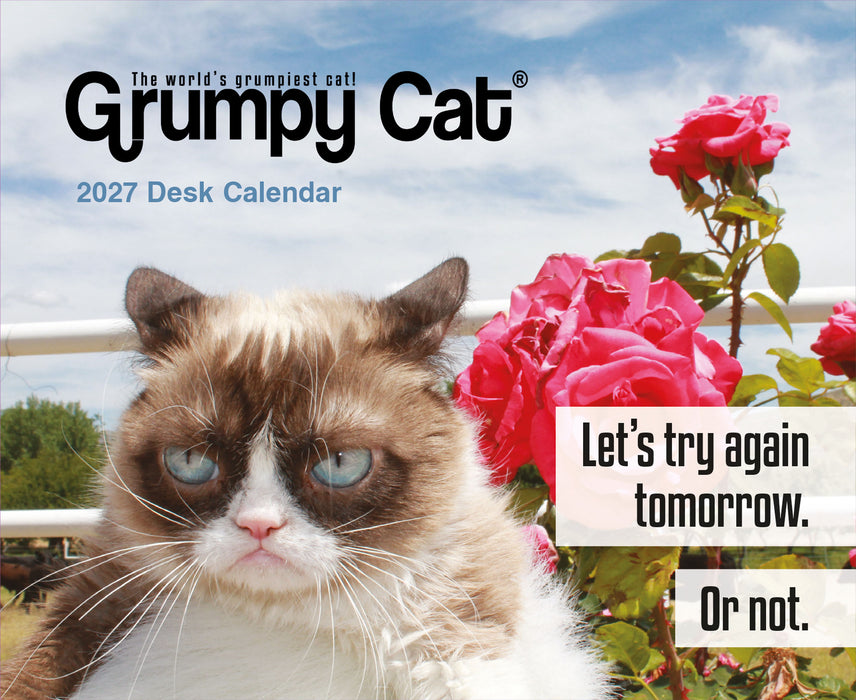 Grumpy Cat 2027 Page-A-Day Calendar