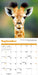 Baby Animals 2026 Mini Wall Calendar