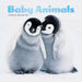Baby Animals 2026 Mini Wall Calendar