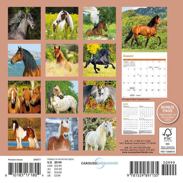 Horses 2026 Mini Wall Calendar