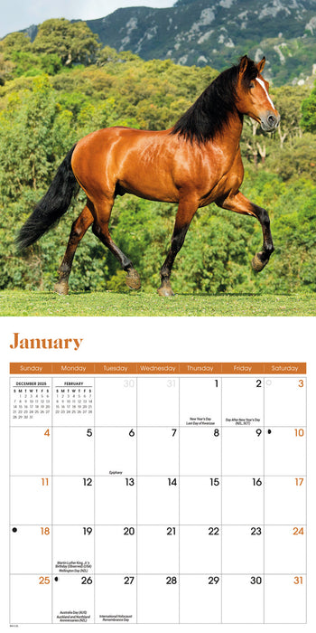 Horses 2026 Mini Wall Calendar