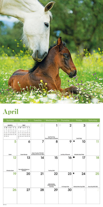 Horses 2026 Mini Wall Calendar