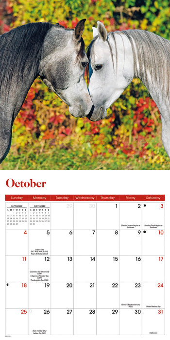 Horses 2026 Mini Wall Calendar