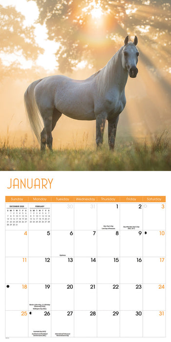 Horses 2026 Square Wall Calendar