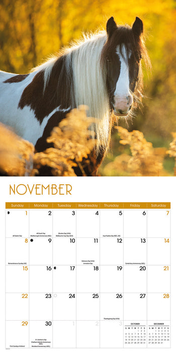 Horses 2026 Square Wall Calendar