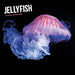 Jellyfish 2026 Square Wall Calendar