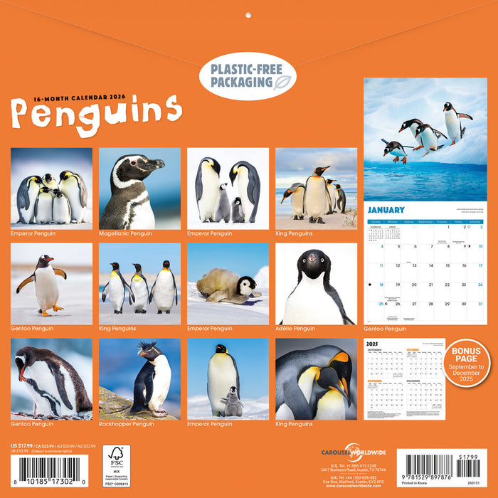 Penguins 2026 Square Wall Calendar