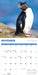 Penguins 2026 Square Wall Calendar