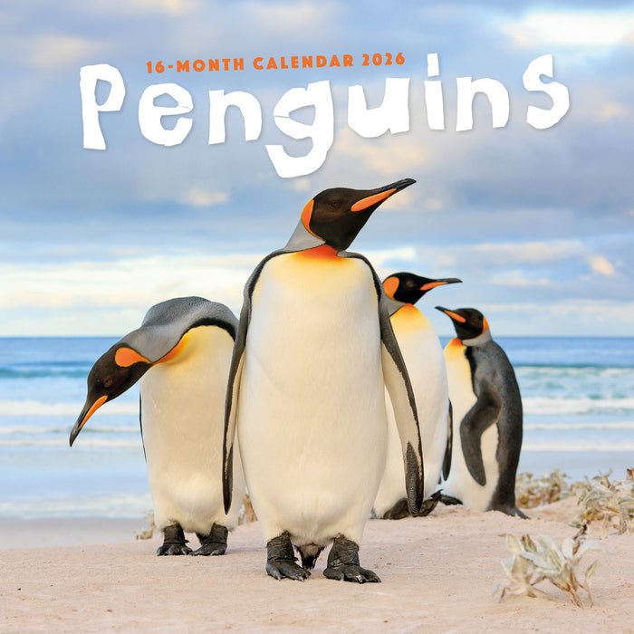 Penguins 2026 Square Wall Calendar