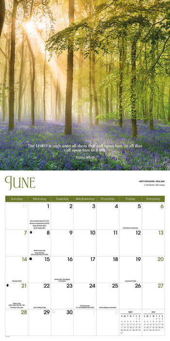 Psalms 2026 Square Wall Calendar