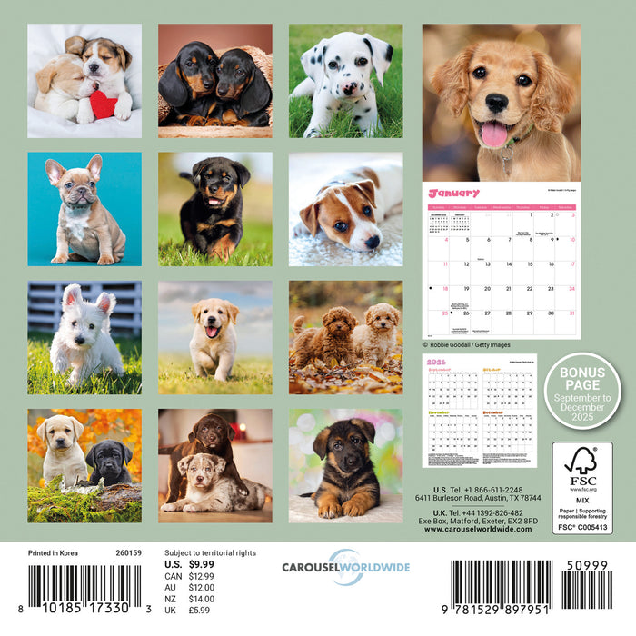 Puppies 2026 Mini Wall Calendar