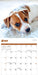 Puppies 2026 Mini Wall Calendar