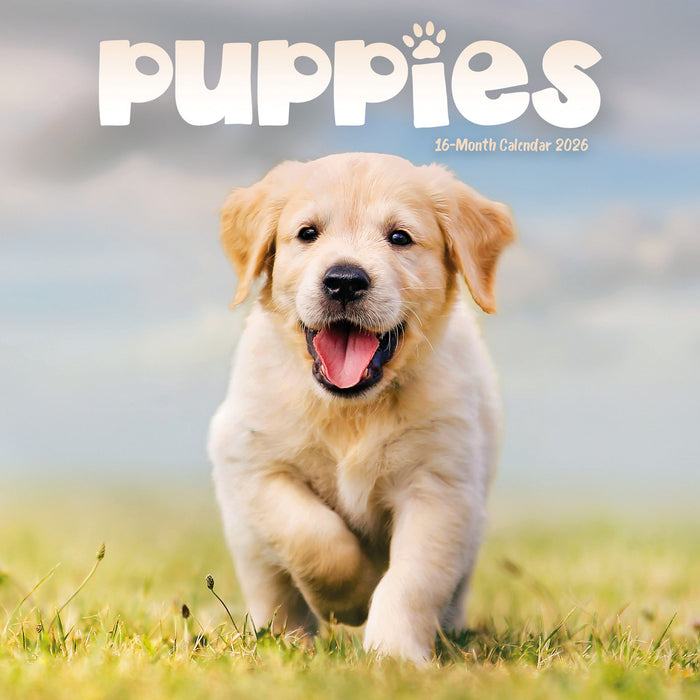 Puppies 2026 Mini Wall Calendar