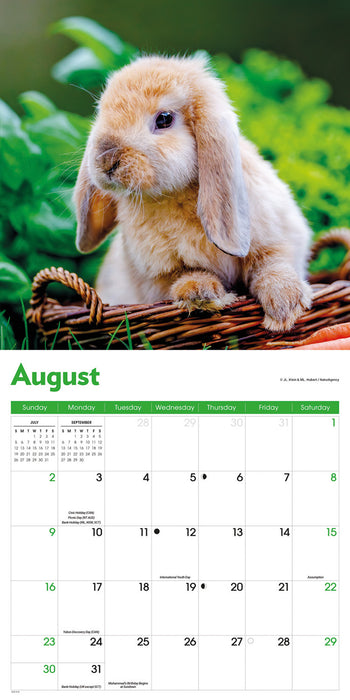 Rabbits 2026 Square Wall Calendar