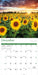Sunflowers 2026 Square Wall Calendar