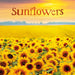 Sunflowers 2026 Square Wall Calendar