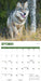 Wolves 2026 Square Wall Calendar