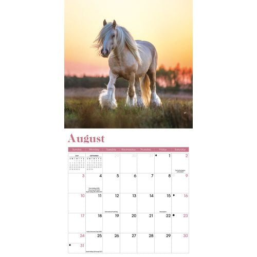 2025 Horses Mini Wall Calendar