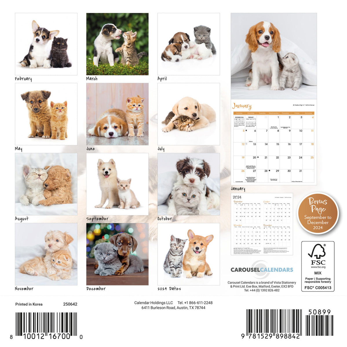 Shop 2025 Cats and Kittens Calendars Online Calendar Club