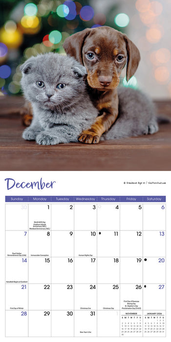 2025 Kittens & Puppies Mini Wall Calendar