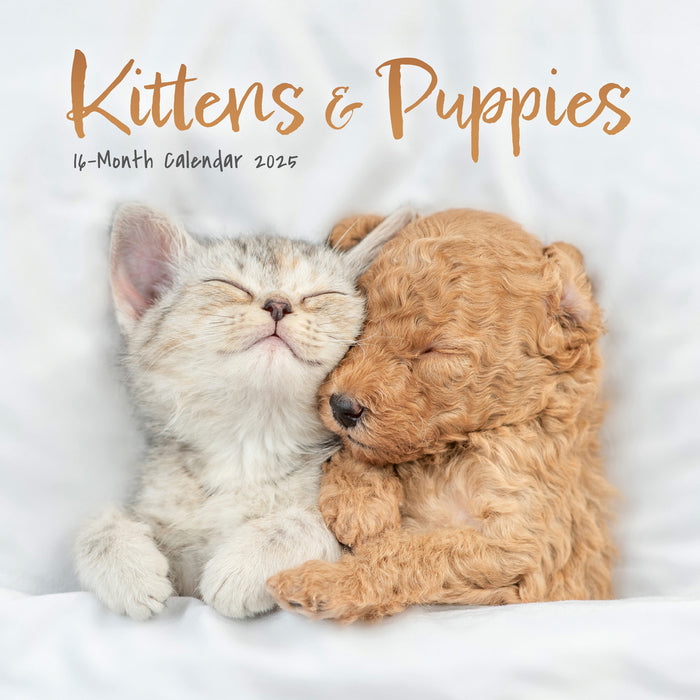 2025 Kittens & Puppies Mini Wall Calendar