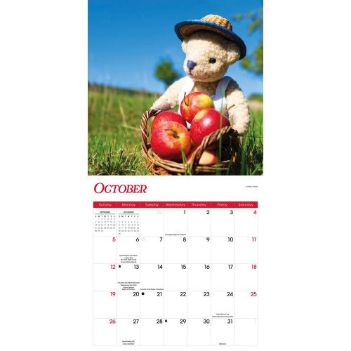 2025 Teddy Bears Wall Calendar