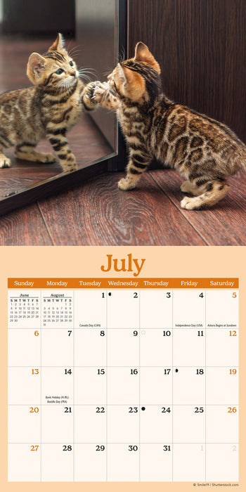 2025 Curious Kittens Mini Wall Calendar